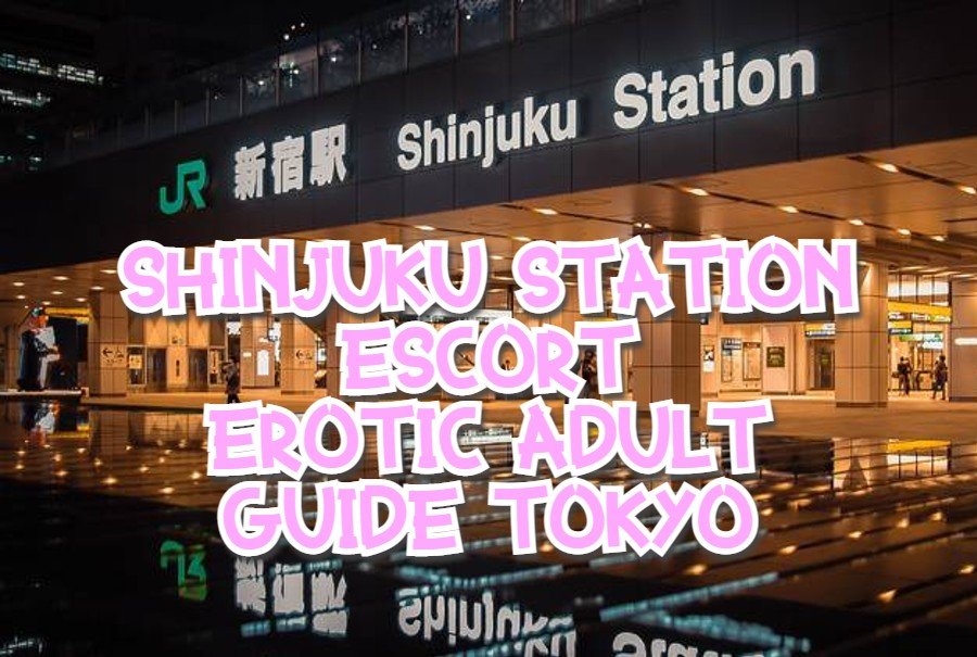 ShinjukuStationEscort