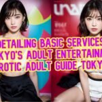 tokyo escort basic service guide
